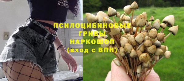 ECSTASY Зеленодольск