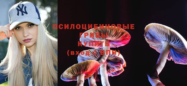 ECSTASY Зеленодольск