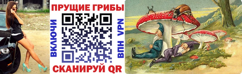 Псилоцибиновые грибы ЛСД Дагестанские Огни